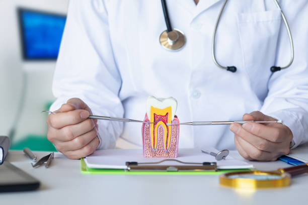 Best Emergency Dental Care for Broken or Chipped Teeth in Guntown, MS
